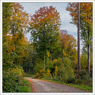 Turning Colors