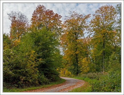 Autumn