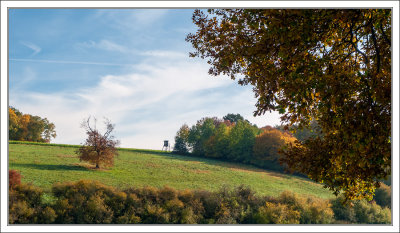 Autumn Meadow