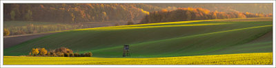 Autumn Evening Light