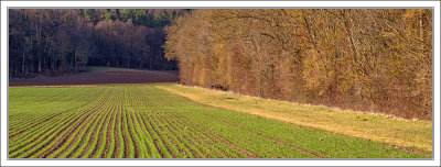 Franconias Landscape