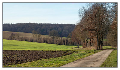 February Walk