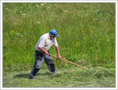 Making Hay as in the Olden Days