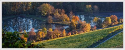 Fish Ponds in Autumn