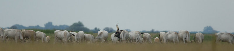 2013-06-12 hotobahy rund.jpg