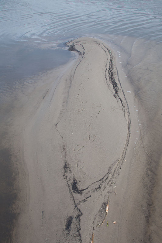 2014-02-17 ijsselmonding.jpg
