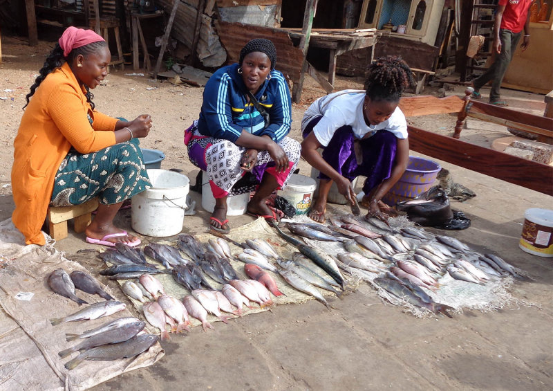 2015-01 banjul albert market.jpg