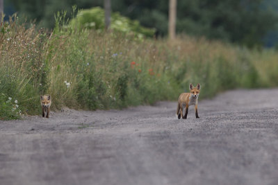 2013-06-25 vos polen 2.jpg