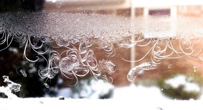 Nature's Frost Art