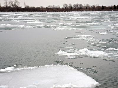 Detroit River Ice.jpg