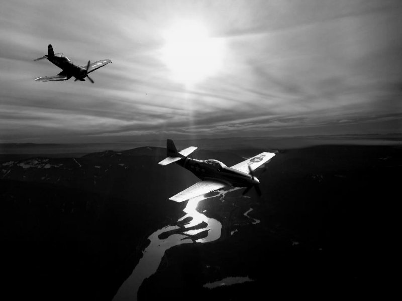 Evening Mustang and Corsair.returning mono.jpg