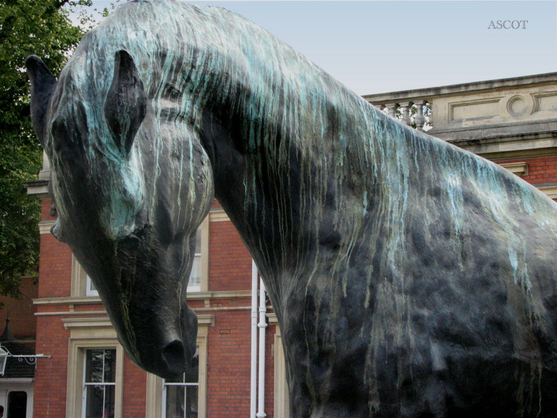 Ascot Horse.jpg