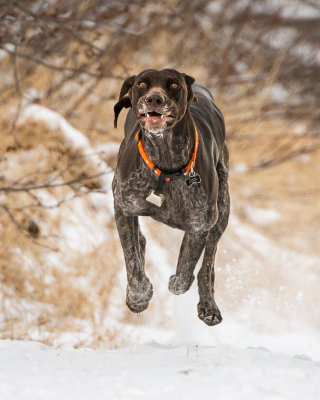 Airborne