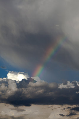 Scottsdale Rainbow