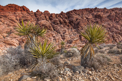 Red Rock Canyon