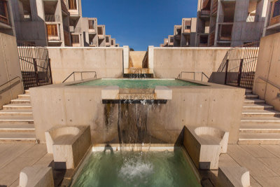 Salk Institute