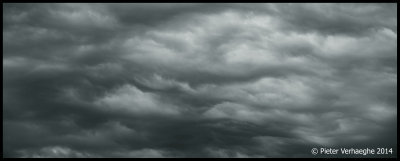 Fishclouds