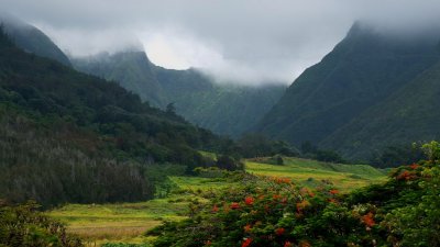 Oahu & Maui  2014