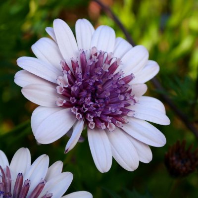 g9/36/845536/3/157333138.7otSRsla.jpg
