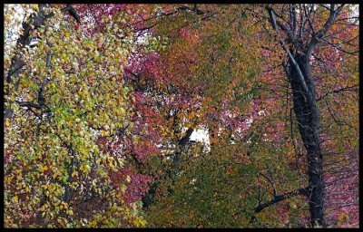 DSCF3519.jpg