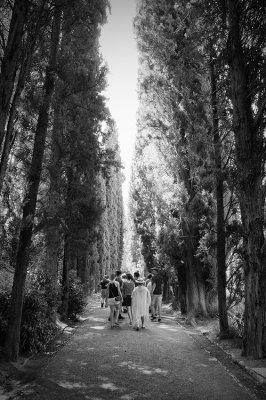 Garden Path, the Alhambra, Granada
