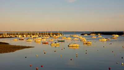 Jard sur Mer Vende France 2014