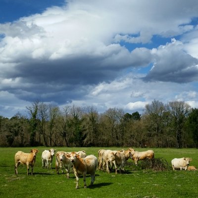 Les Landes France