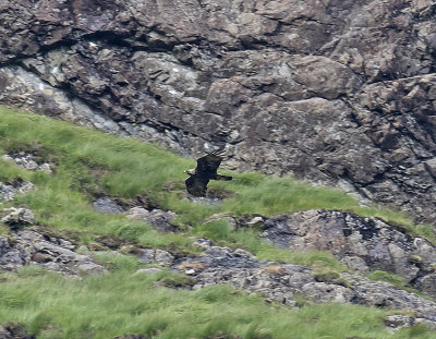 :: Mull July 2016: