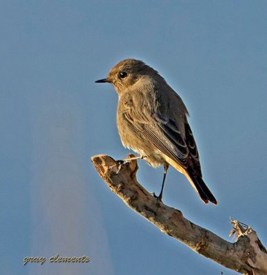 captured at topsham devon uk