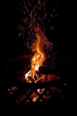 Firebone.jpg
