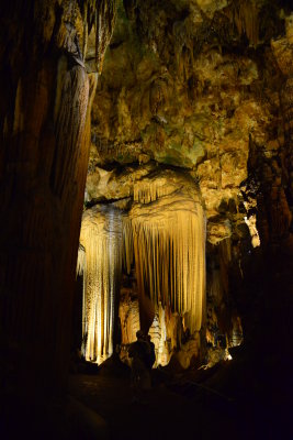DSC_2402.JPG