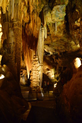 DSC_2418.JPG