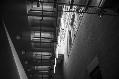 DSC_3737.jpg