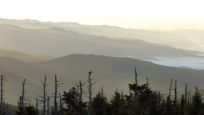 Smokey Mountain Dawn 3