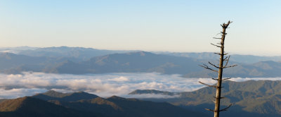 Smokey Mountain Dawn 4