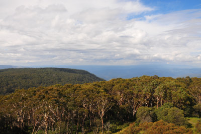 Views from Mt Donna Buang lookout tower