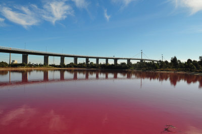 Pink Lake-  Melbourne 