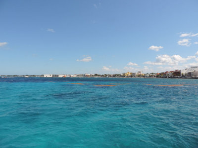 Cozumel shoreline