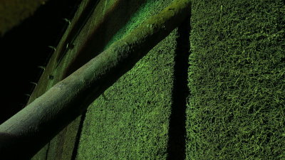 IMG_0886 Sz.JPG