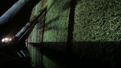 IMG_0999 Sz.JPG