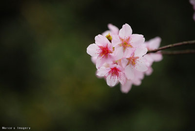 DSC_1735.jpg
