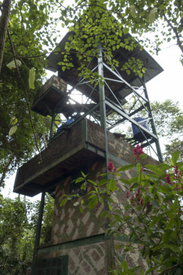 canopy tower at Rio Silanche