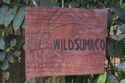 Wild Sumaco