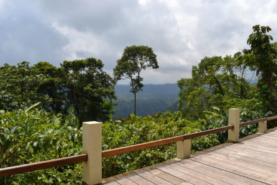 Wild Sumaco Lodge; view off back deck