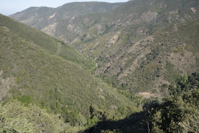 Santa Ana Mountains