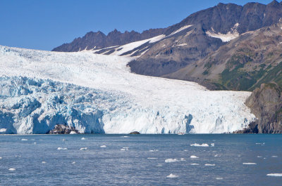 Kenai Fjords (Ailak Glacier)