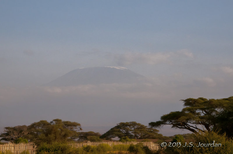 _AFR7435Kilamanjaro.jpg