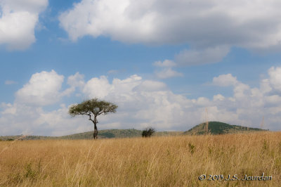 _AFR5450MasaiMara.jpg