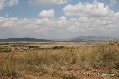 _AFR5459MasaiMara.jpg