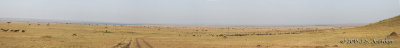 MasaiMara_Pano6497_510.jpg